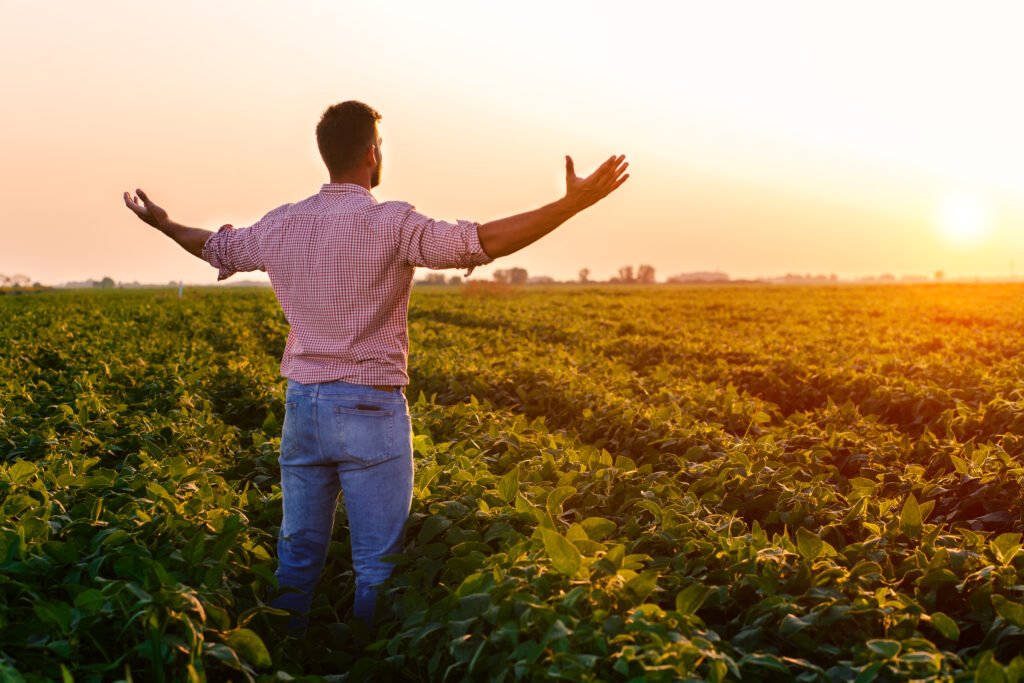 Rear view of farmer standing in soybean field with his arms out
