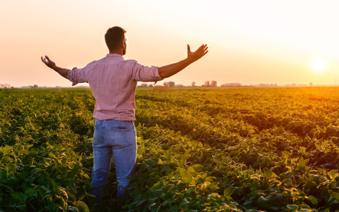 Overcoming the Need to Be in Control – Identity Wounds Part 2
